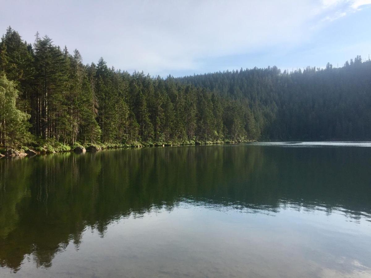 Apartman “U Nas V Podkrovi“ V Rezidenci Klostermann, Zelezna Ruda 24 Exteriör bild