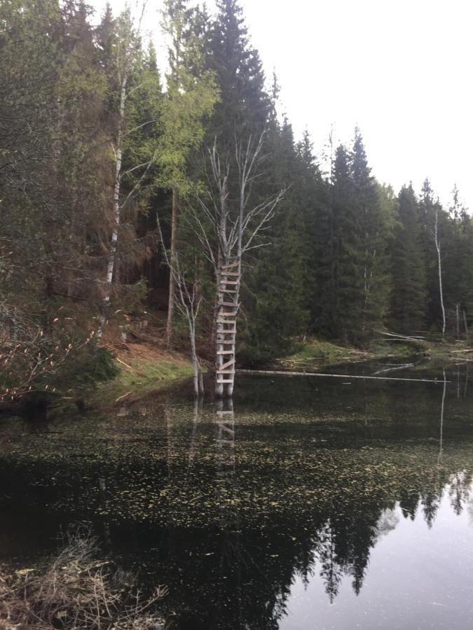 Apartman “U Nas V Podkrovi“ V Rezidenci Klostermann, Zelezna Ruda 24 Exteriör bild