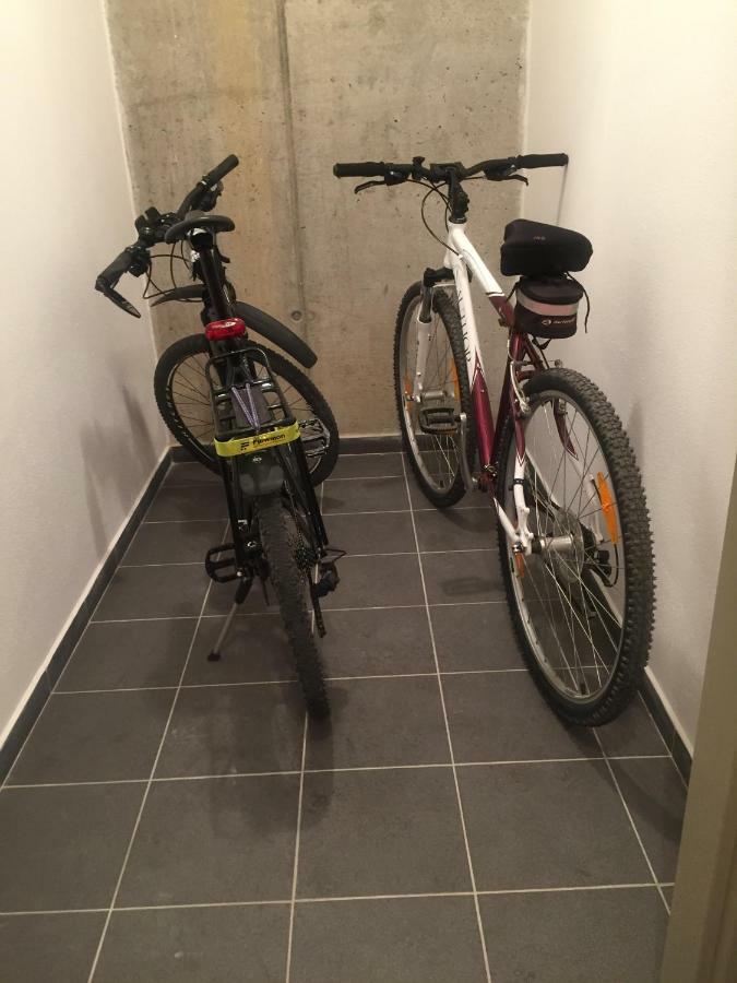 Apartman “U Nas V Podkrovi“ V Rezidenci Klostermann, Zelezna Ruda 24 Exteriör bild